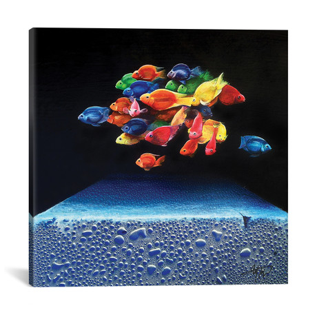 Colored Fish // Michael Goldzweig (18"W x 18"H x 0.75"D)