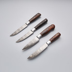 Slim Knives // Set of 4 // 05