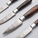 Slim Knives // Set of 4 // 05