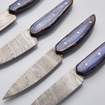 Modern Knives // Set of 4 // 07