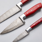 Kitchen Knives // Set of 3 // 10