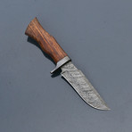 Damascus Hunting Knife // VK266