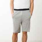 Sean Lounge Shorts // Heather Gray (XL)