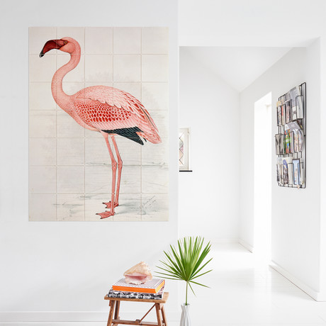 Flamingo Finch-Davies (Small (31.5"W x 47.24"H))