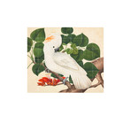 Cockatoo (Small (39.37"W x 31.5"H))