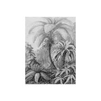 Ferns (Small (31.5"W x 39.37"H))