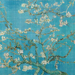 Almond Blossom (Small (39.37"W x 31.5"H))