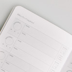 Passport Collection // The Trailblazer