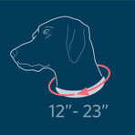 UnLeash 5ft Dog Leash + CollarLess Fixed Loop Dog Collar + Silent ID Dog Tag // Charcoal + Pink