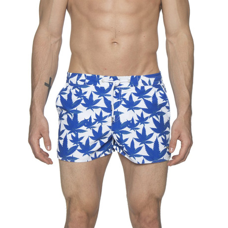 2" Barcelona Dry Cloth Swim Shorts // Cannabis Royal (XS)