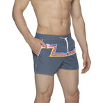 2" Barcelona Dry Cloth Swim Shorts // Dark Blue Zed (M)
