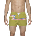 2" Barcelona Dry Cloth Swim Shorts // Grass Green Zed (M)