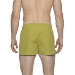 2" Barcelona Dry Cloth Swim Shorts // Grass Green Zed (S)