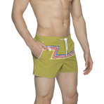 2" Barcelona Dry Cloth Swim Shorts // Grass Green Zed (XS)