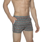 2" Print Angeleno Stretch Swim Shorts // Pineapple Green (28)