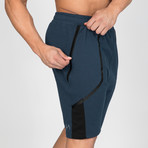Linear Shorts // Navy (2XL)
