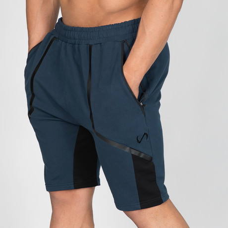 Linear Shorts // Navy (M)
