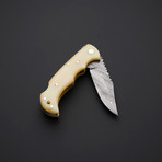 Pocket Folding Lock Back Knife // 2377