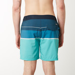 Striped 4 Way Stretch Swim Shorts // Aqua (M)