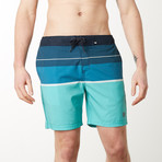 Striped 4 Way Stretch Swim Shorts // Aqua (M)