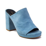 Robert Clergerie // Abrice Suede Block Heel Mule // Blue (US: 6.5)