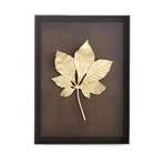 Shadow Box // Chestnut Leaf (Natural Brass)