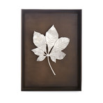 Shadow Box // Chestnut Leaf (Natural Brass)