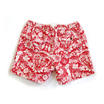 Blythe Shorts // Red + Morris-Sea (M)