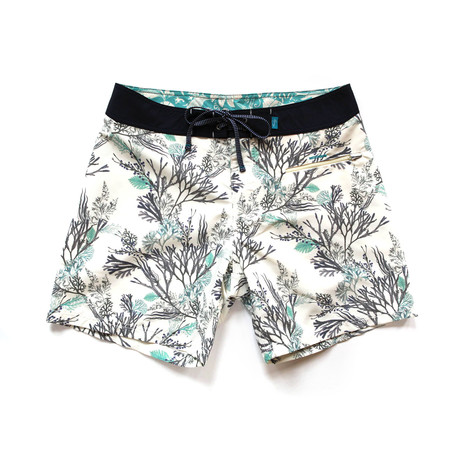 Burgh Shorts // Chalk + Seaweed (S)