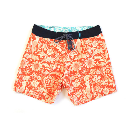 Burgh Shorts // Orange + Morris-Sea (S)