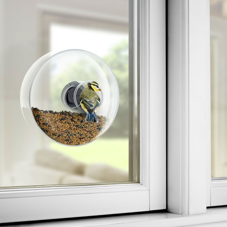Window Bird Feeder (Small)
