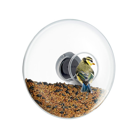 Window Bird Feeder (Small)
