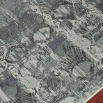 Patterned Hand-Knotted Area Rug // Charcoal (6' x 9')