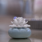Elegance Collection // White Lotus Mini (Blue Breeze)