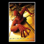 Spider-Man Hand-Signed Script // Stan Lee + Tobey Maguire + Willem Dafoe + Jame Franco Signed // Custom Frame (Hand-Signed Script only)