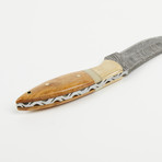 Fixed Blade Damascus Steel Skinning Knife // HB-0132