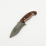 Fixed Blade Damascus Steel Skinning Knife // HB-0043