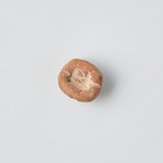 Amarna, Egypt. Clay Eye Of Horus Amulet Mold // 1364-1341 BC.