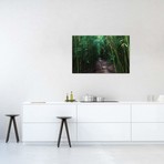 Boardwalk Through Bamboo, Pipiwai Trail, Hakeakala National // Panoramic Images (26"W x 18"H x 0.75"D)