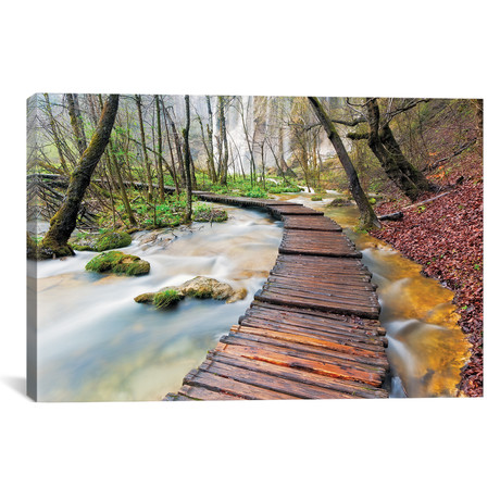 A Walk In The Woods, Plitvice Lakes National Park, Croatia // Jim Nilsen (26"W x 18"H x 0.75"D)