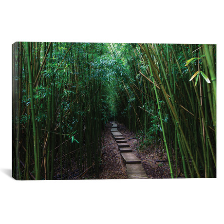 Boardwalk Through Bamboo, Pipiwai Trail, Hakeakala National // Panoramic Images (26"W x 18"H x 0.75"D)