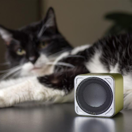 Pet Acoustics Pet Tunes Speaker + Music Bundle // Cat