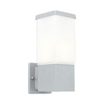 Outdoor Wall Light // Silver + Frosted Opal Glass