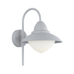 Outdoor Wall Light // Silver + Frosted Glass