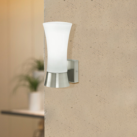 Outdoor Wall Light // Stainless Steel + Frosted Opal Glass