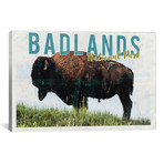Badlands National Park Vintage Adventure Postcard // Nature Magick (26"W x 18"H x 0.75"D)