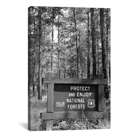 Sign In Front Of Wooded Area Reading Protect And Enjoy // 1980s // Vintage Images (18"W x 26"H x 0.75"D)