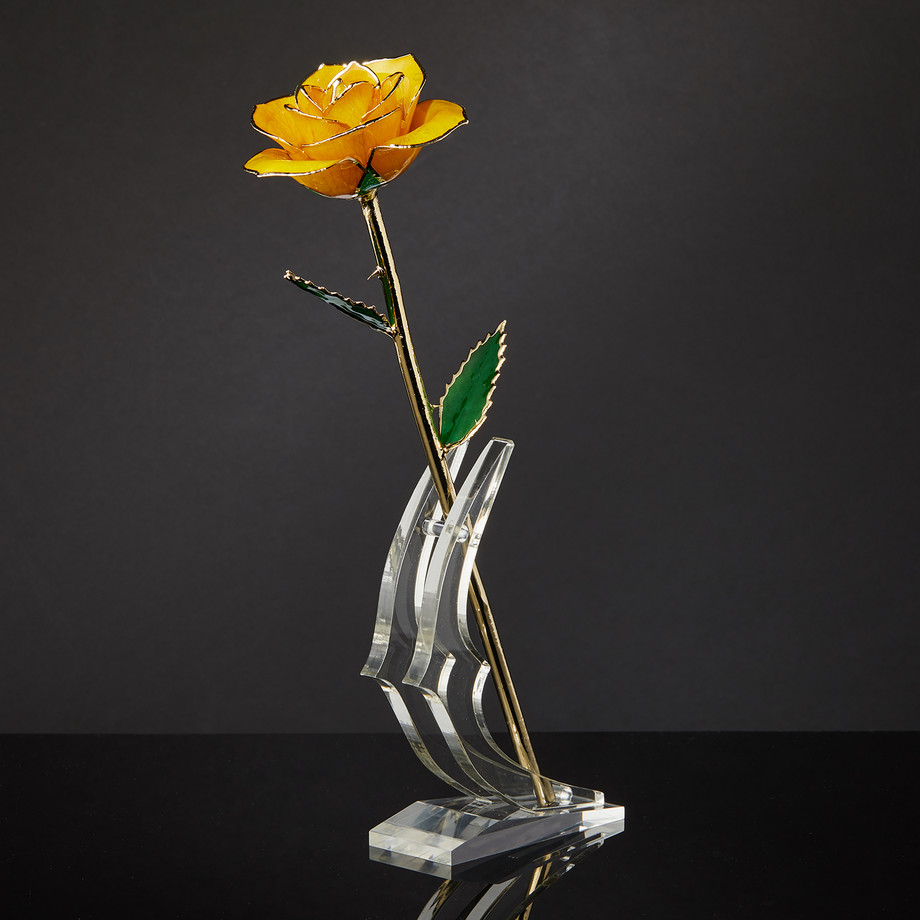 Eternal Rose - Everlasting Gold Dipped Roses - Touch of Modern