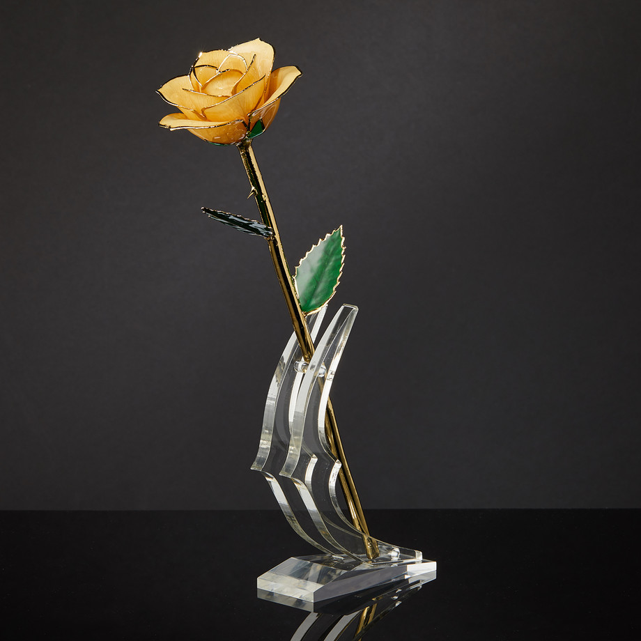 Eternal Rose - Everlasting Gold Dipped Roses - Touch of Modern