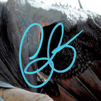 Game Of Thrones Daenerys Dragon // Emilia Clarke Hand-Signed Photo // Custom Frame